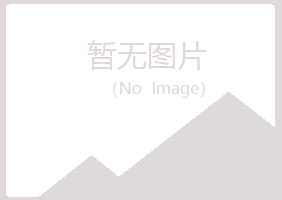 龙岩新罗夏岚金融有限公司